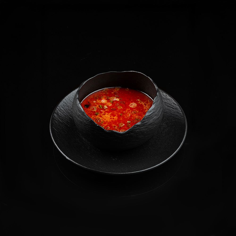 Toro-Menu-24